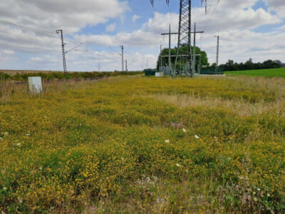 Bild Ersatzneubau des Unterwerks Braunschweig